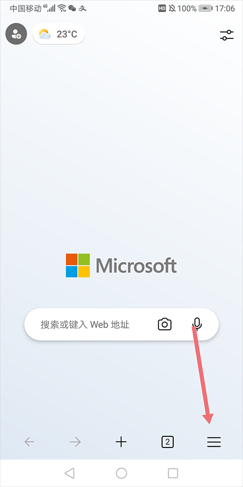 流浪猫主动找人陪着生下双胞胎